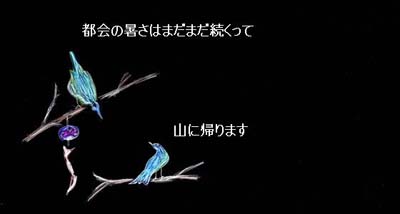 コピー (3) ～ 鳥たちの猛暑01.jpg