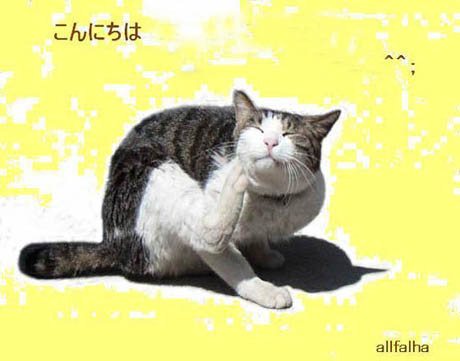 猫の日向ぼっこ.jpgのコピー.jpg